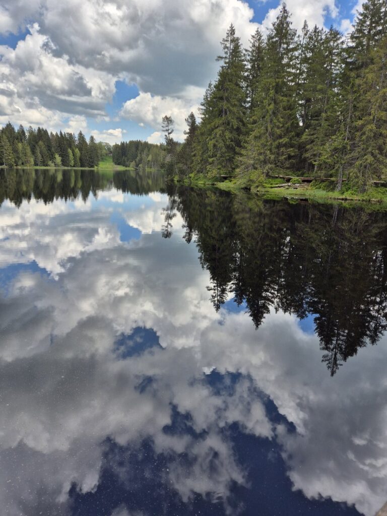 Reflet du ciel et des nuages sur un lac paisible entouré de fôret - élément l'Eau