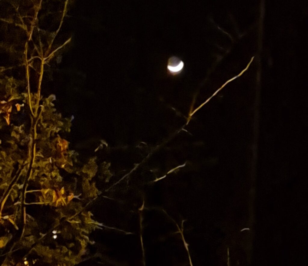 L'Ether ou Akasha, représenté par un croissant de lune entre les branches dans la nuit